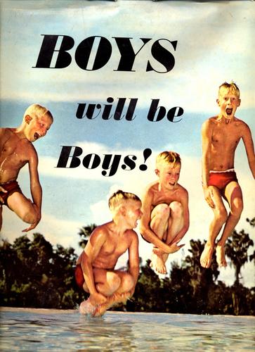 Boys Will Be Boys book