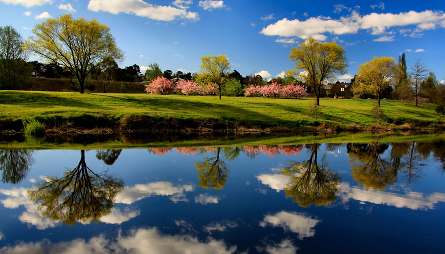 Bombala, NSW