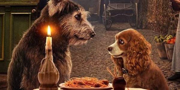 lady and the tramp