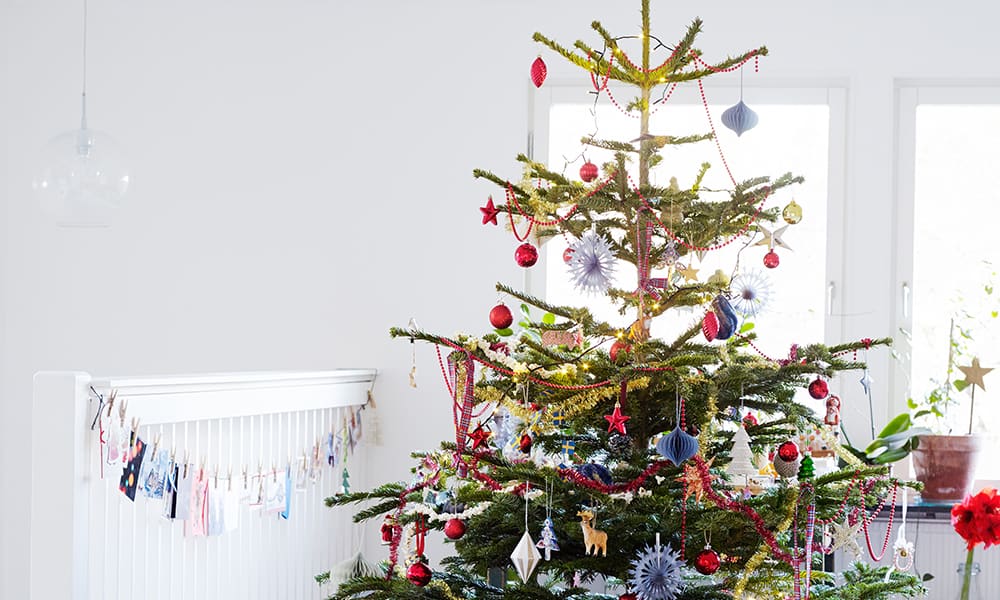 Have a Mini Christmas Christmas Tree Delivered to Your Door — The Latch