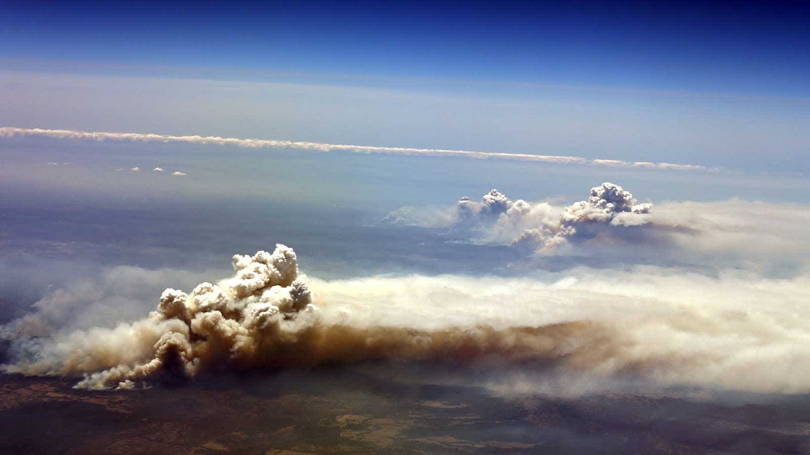 The Effects Of Bushfire Smoke Are Dangerous For Our Health