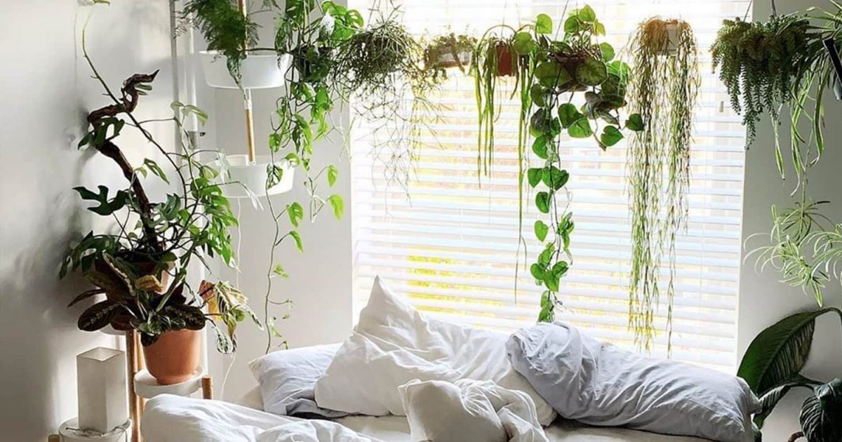 This Tension Rod Hack Lets You Hang Indoor Plants Without Hooks — The Latch