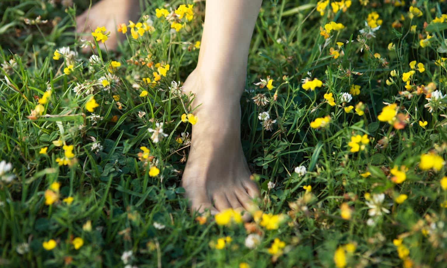 The Health Benefits Of Earthing — TheLatch