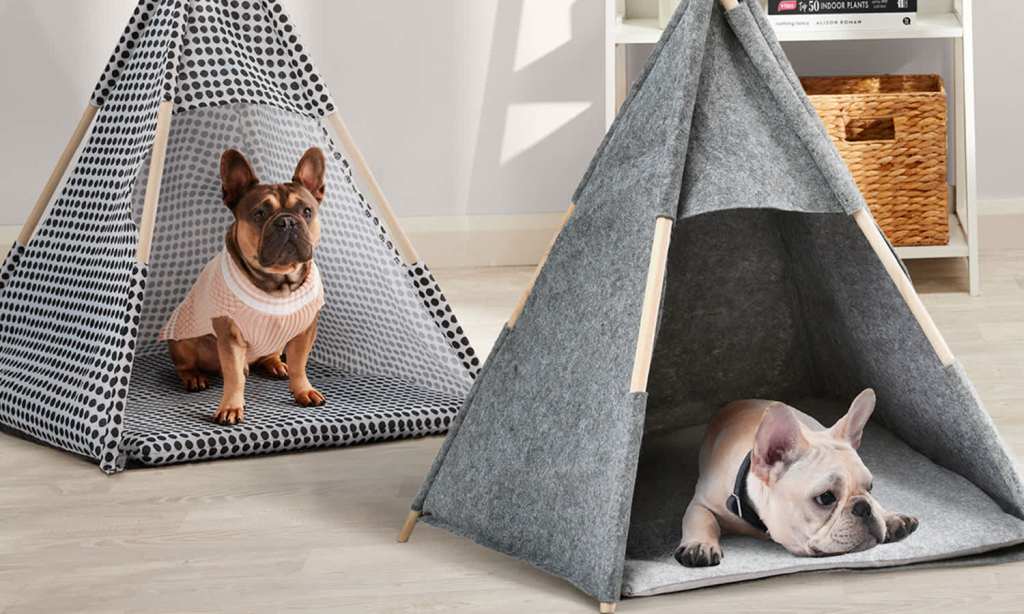 dog-teepee-big-w