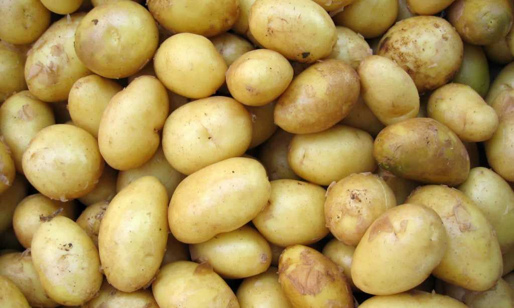 Potatoes