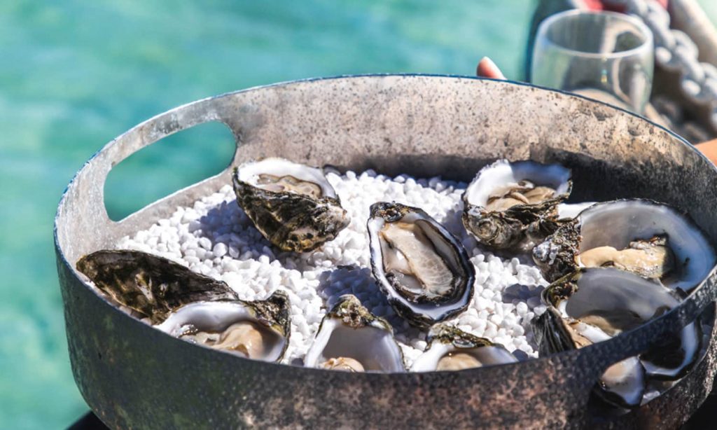 oyster-south-australia