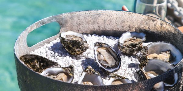 oyster-south-australia