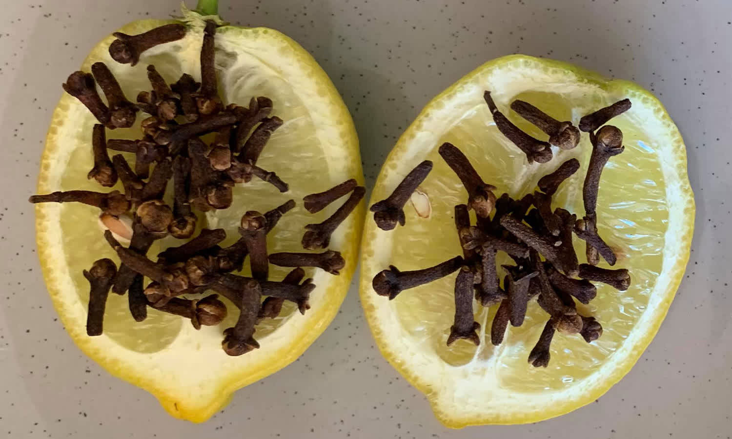 Can This DIY TikTok Hack Solve Your Fruit Fly Problem?