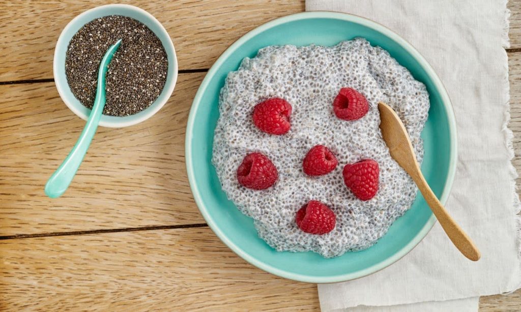 chia seed research