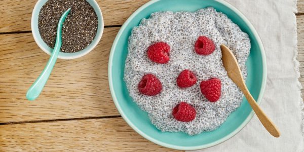 chia seed research