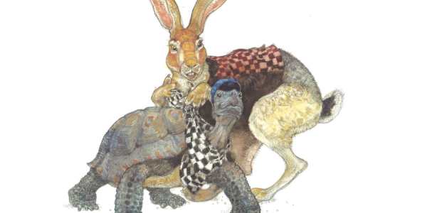 tortoise and hare