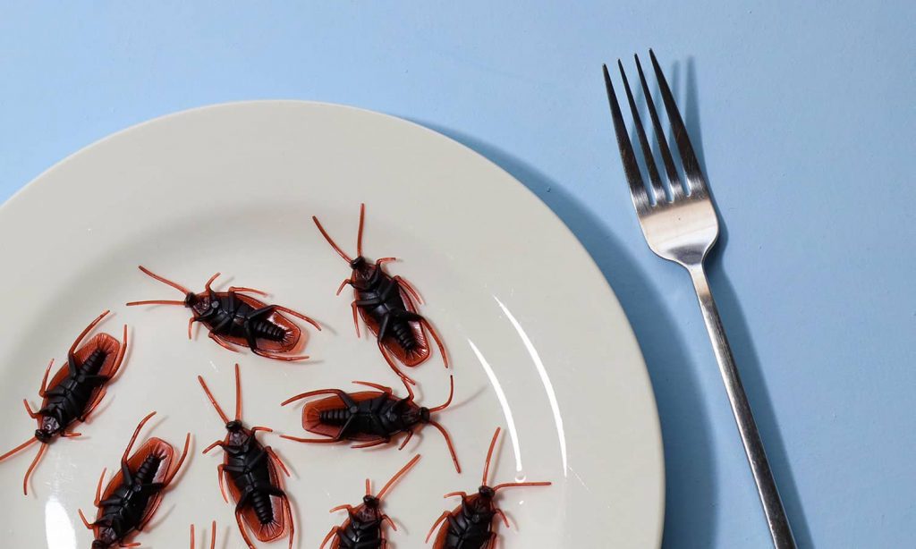 get-rid-of-cockroaches