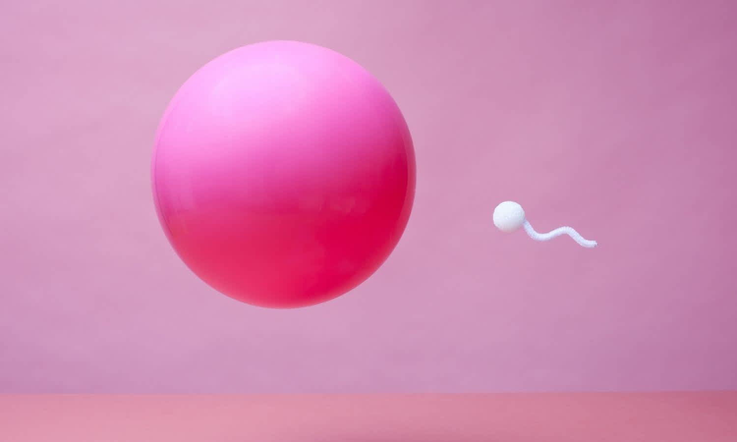 sperm male fertility