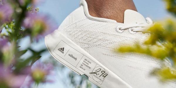 adidas-allbirds-sneaker-hero