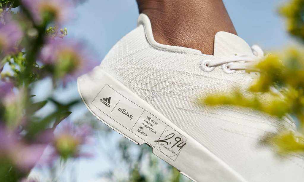 adidas-allbirds-sneaker-hero