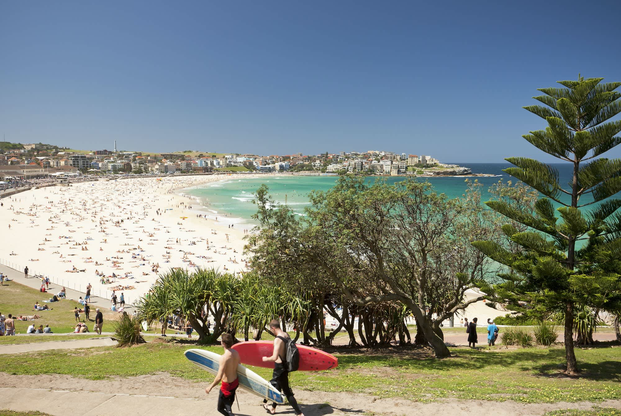 Bondi Beach in Summer