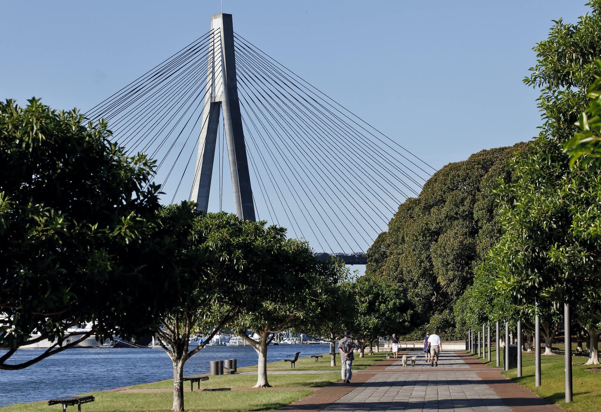 Foreshore walk at Blackwattle Bay Park in Glebe