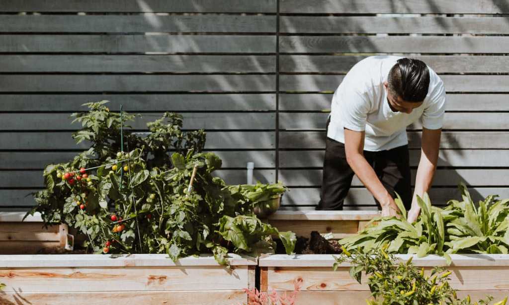 gardening