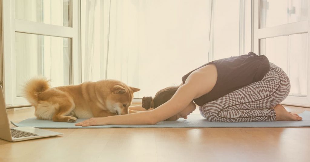 dog stretching