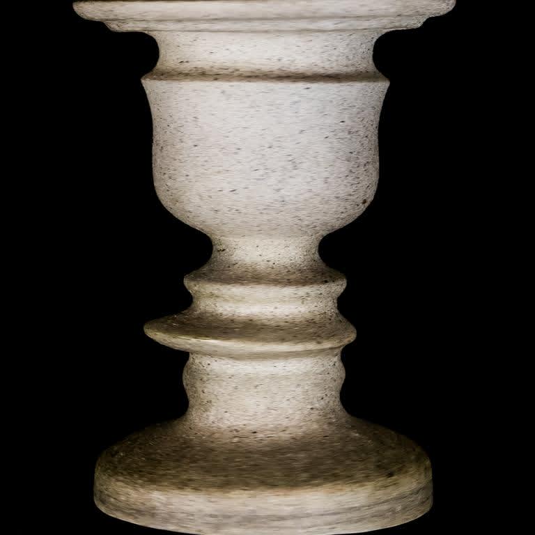 Optical illusion vase