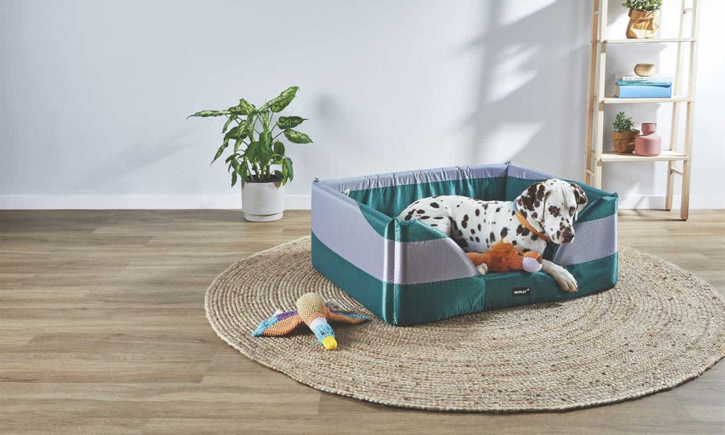 Aldi Pet Bed Is Part of Its Next Special Buys Creature Comforts