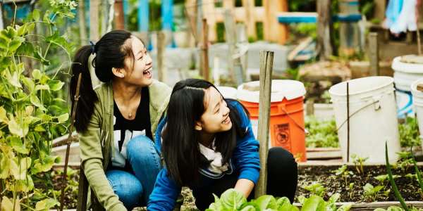 Gardening