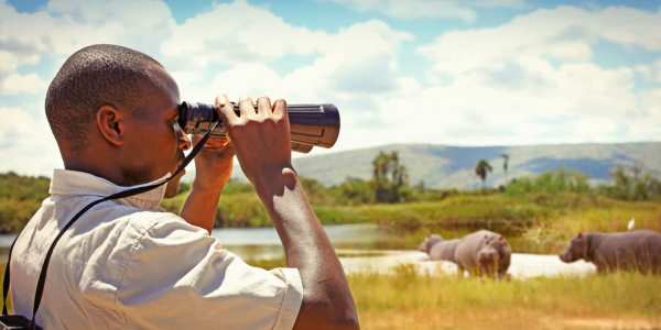 Park rangers in Rwanda