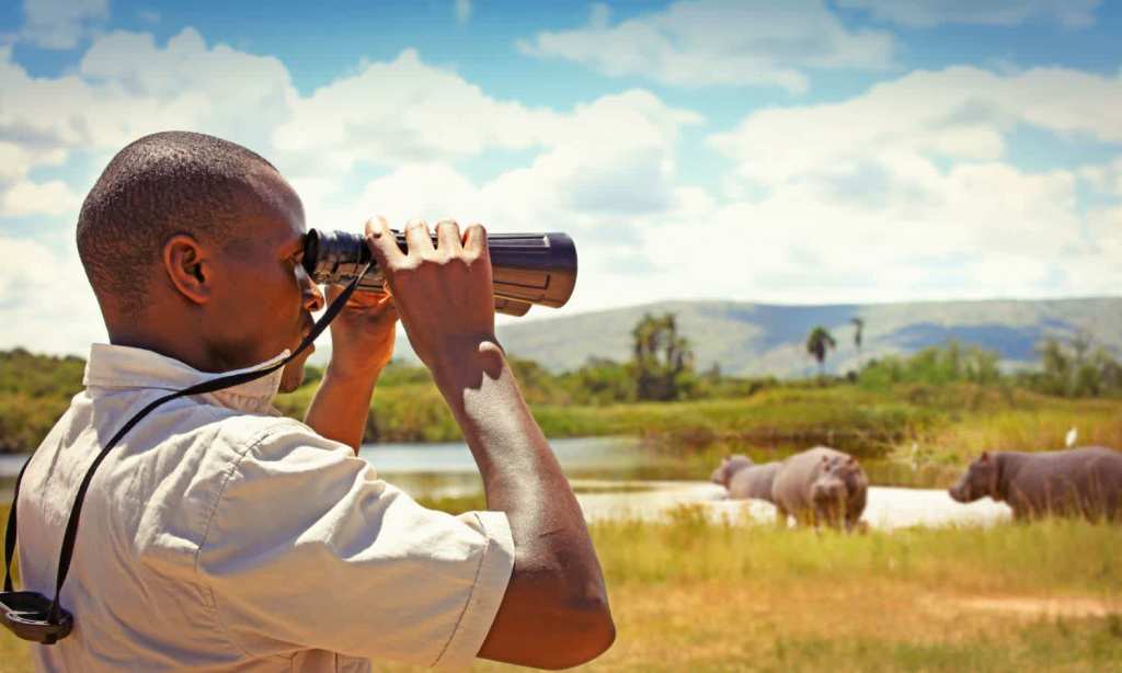 Park rangers in Rwanda