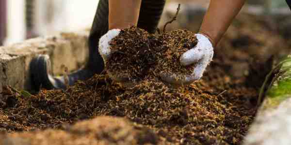 Mixing compost with hand