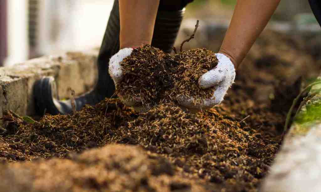 Mixing compost with hand