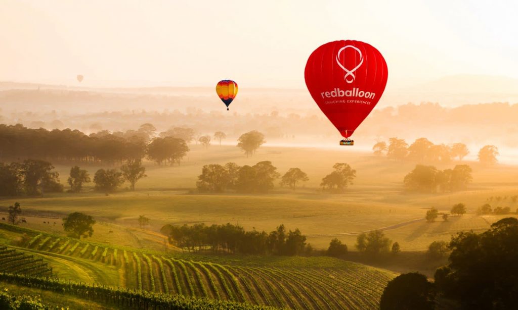 hot air balloon over a winery