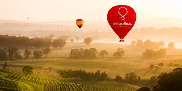 hot air balloon over a winery