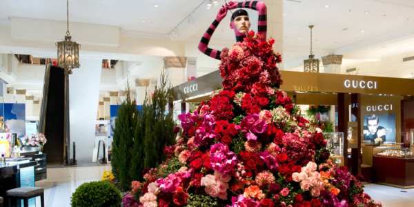 David Jones flower show