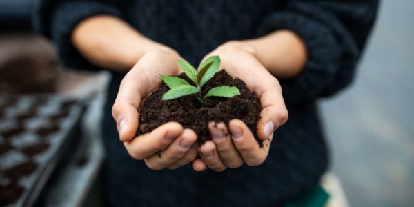 How to be more sustainable