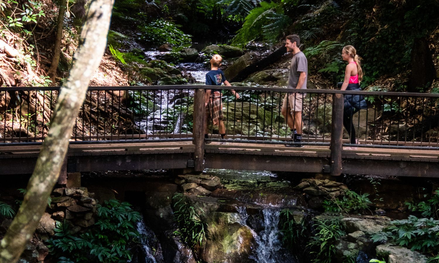 best national parks qld