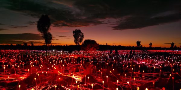 field of light northern territory