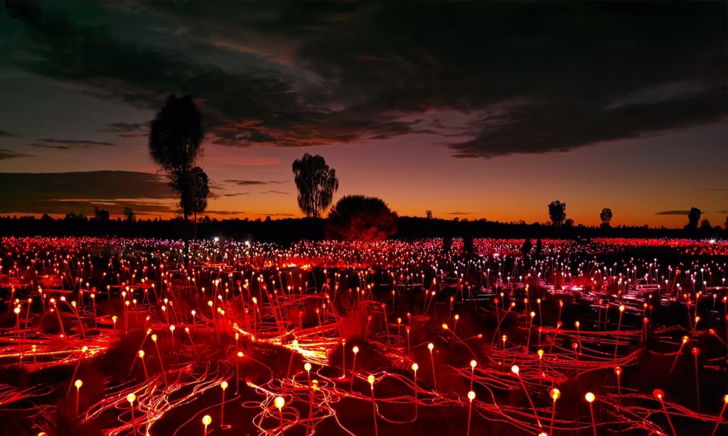 field of light northern territory