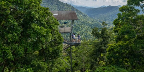 sustainable travel hub tropical north queensland