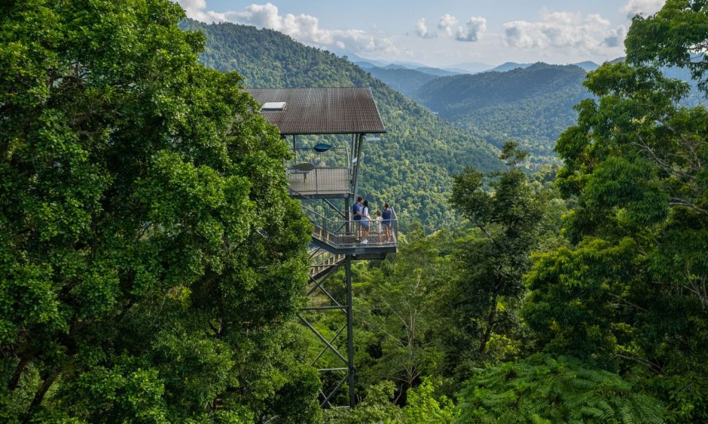 sustainable travel hub tropical north queensland