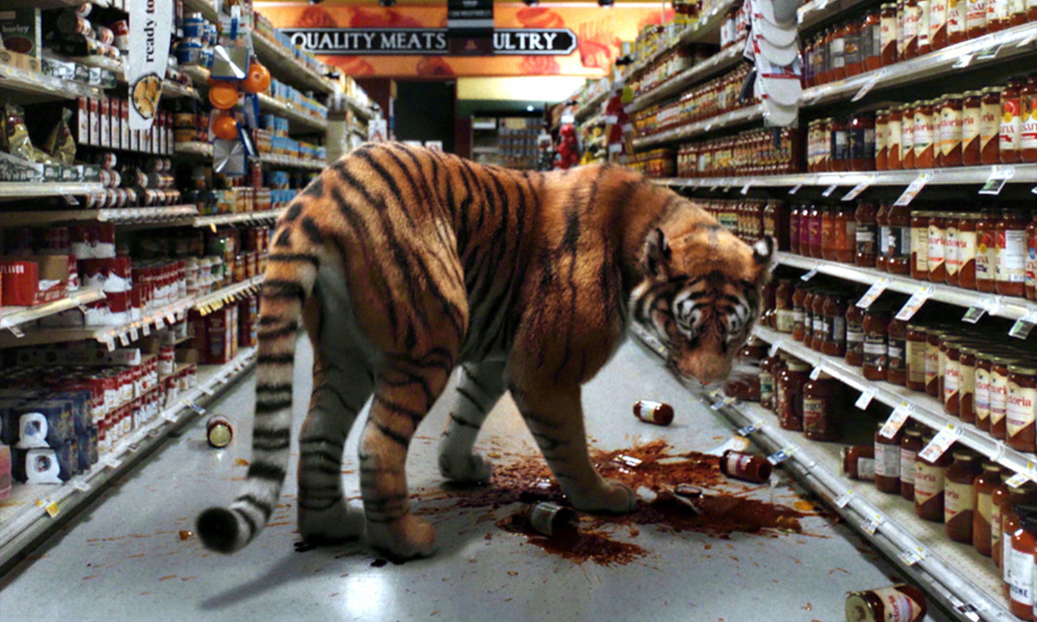 A tiger in a grocery store as part of the show 'Euphoria' for Rising Melbourne 2023.