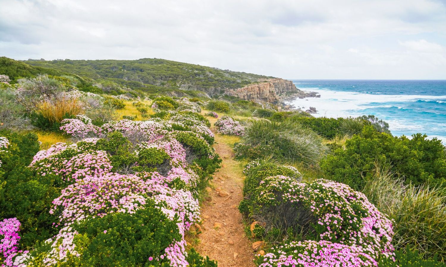 best places to find wildflowers australia 