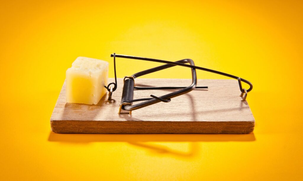 An image showing a mousetrap loaded with cheese to represent Australia EU trade talks