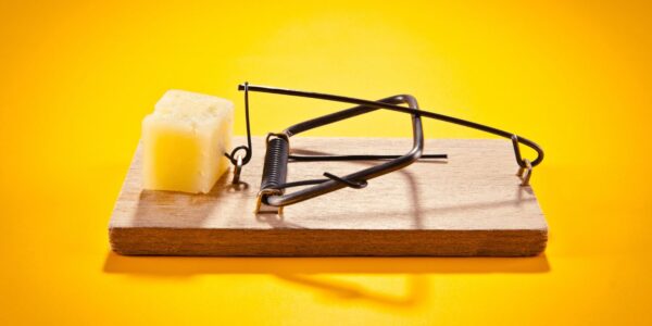 An image showing a mousetrap loaded with cheese to represent Australia EU trade talks