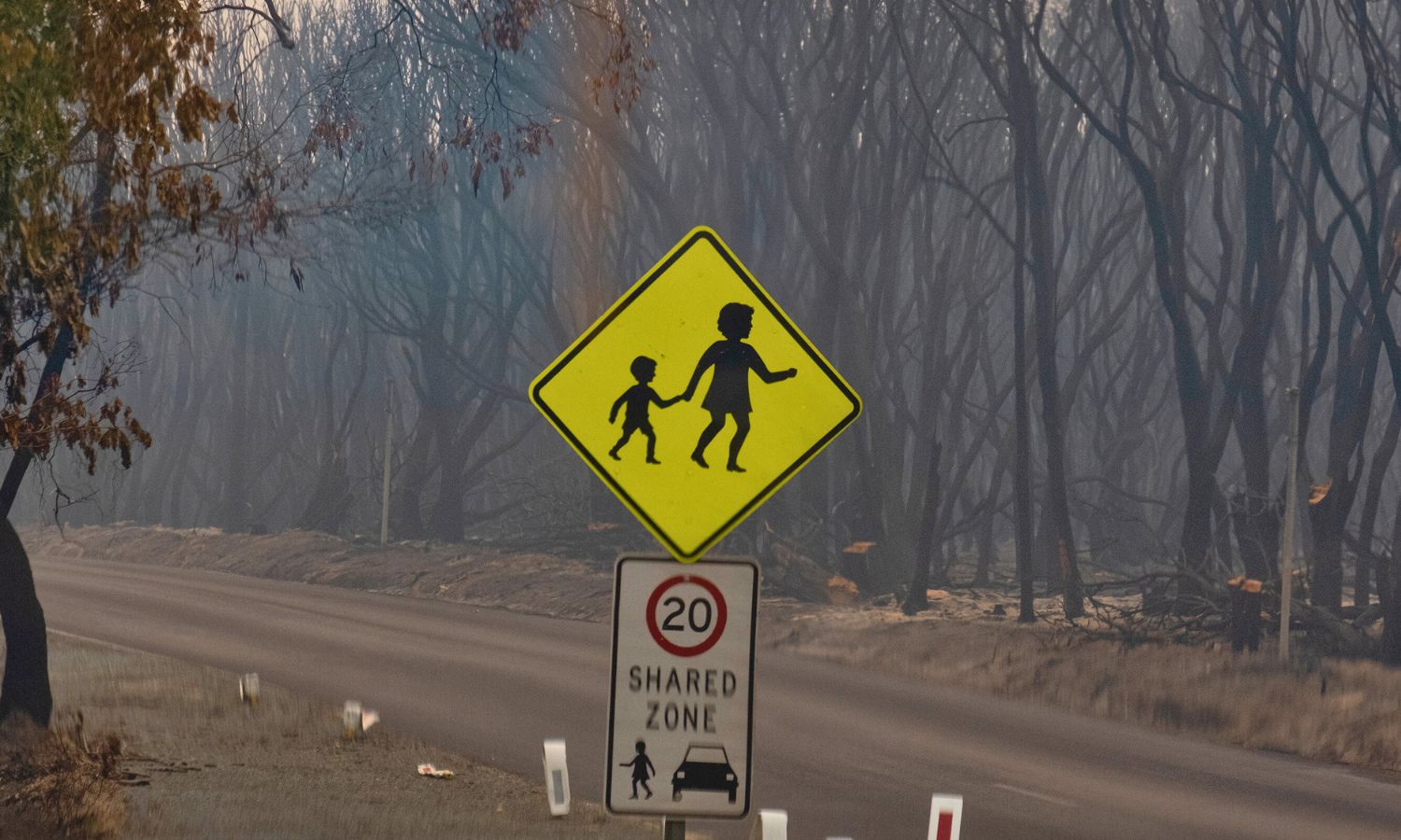 An image showing the aftermath of the fires in Australia to illustrate an article n duty of care climate bill.