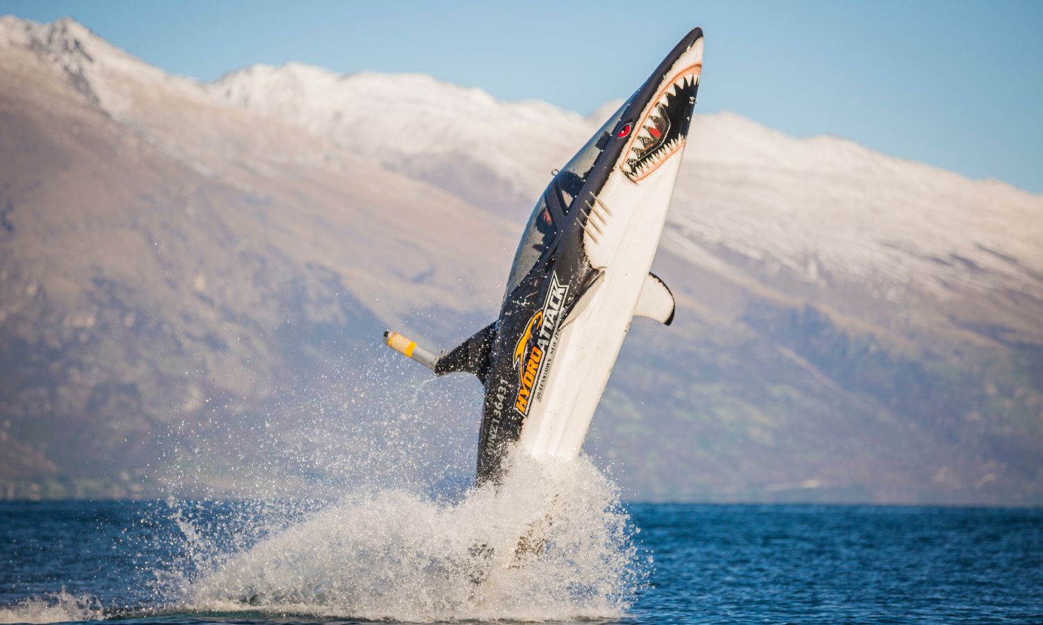 Live Your Little Mermaid Dreams With These Underwater Experiences in NZ