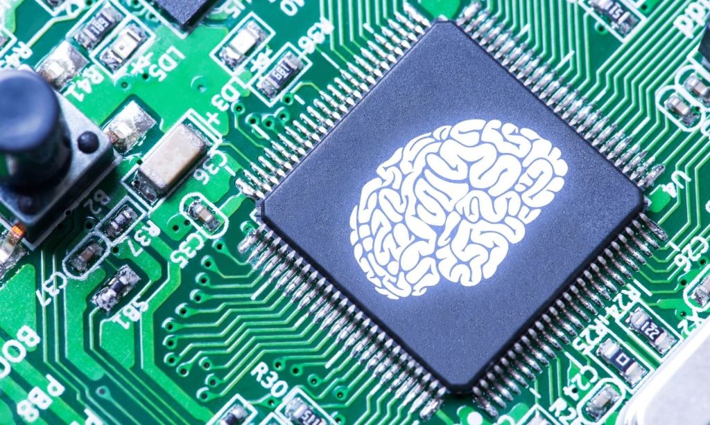 An image showing a human brain on a circuit board to illustrate bio-computing