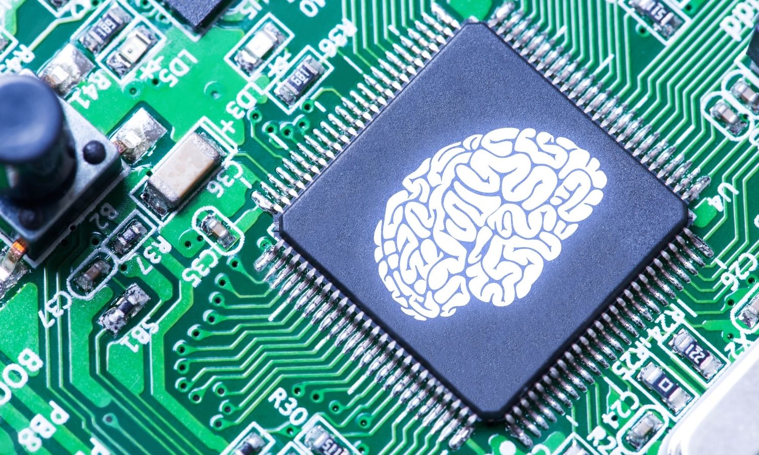 An image showing a human brain on a circuit board to illustrate bio-computing