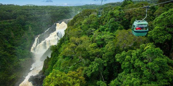 Skyrail Rainforest Cableway