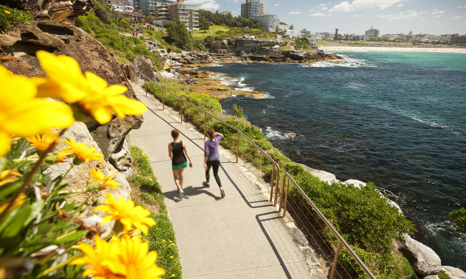 where to see spring flowers in sydney