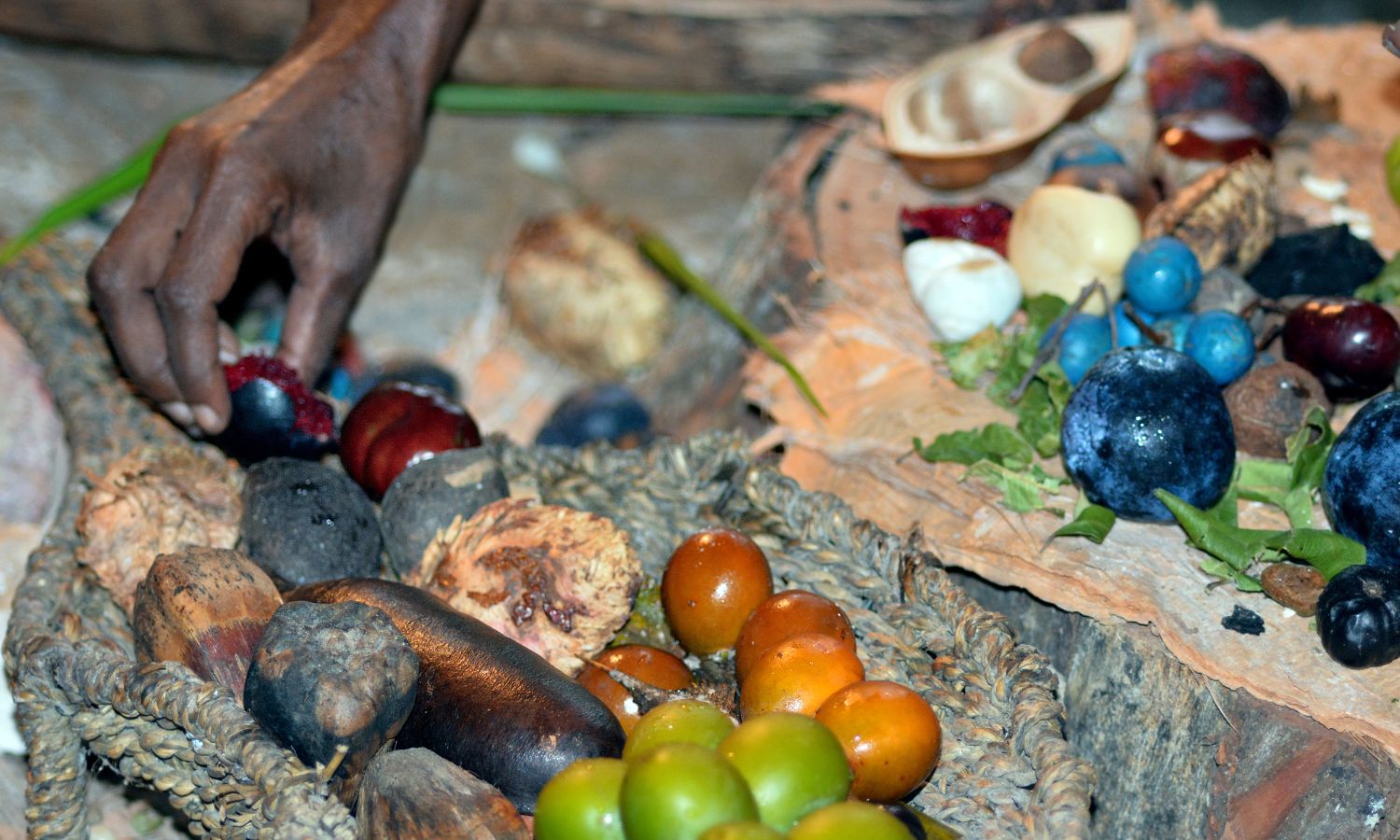 An image showing native Australian Indigenous bush food